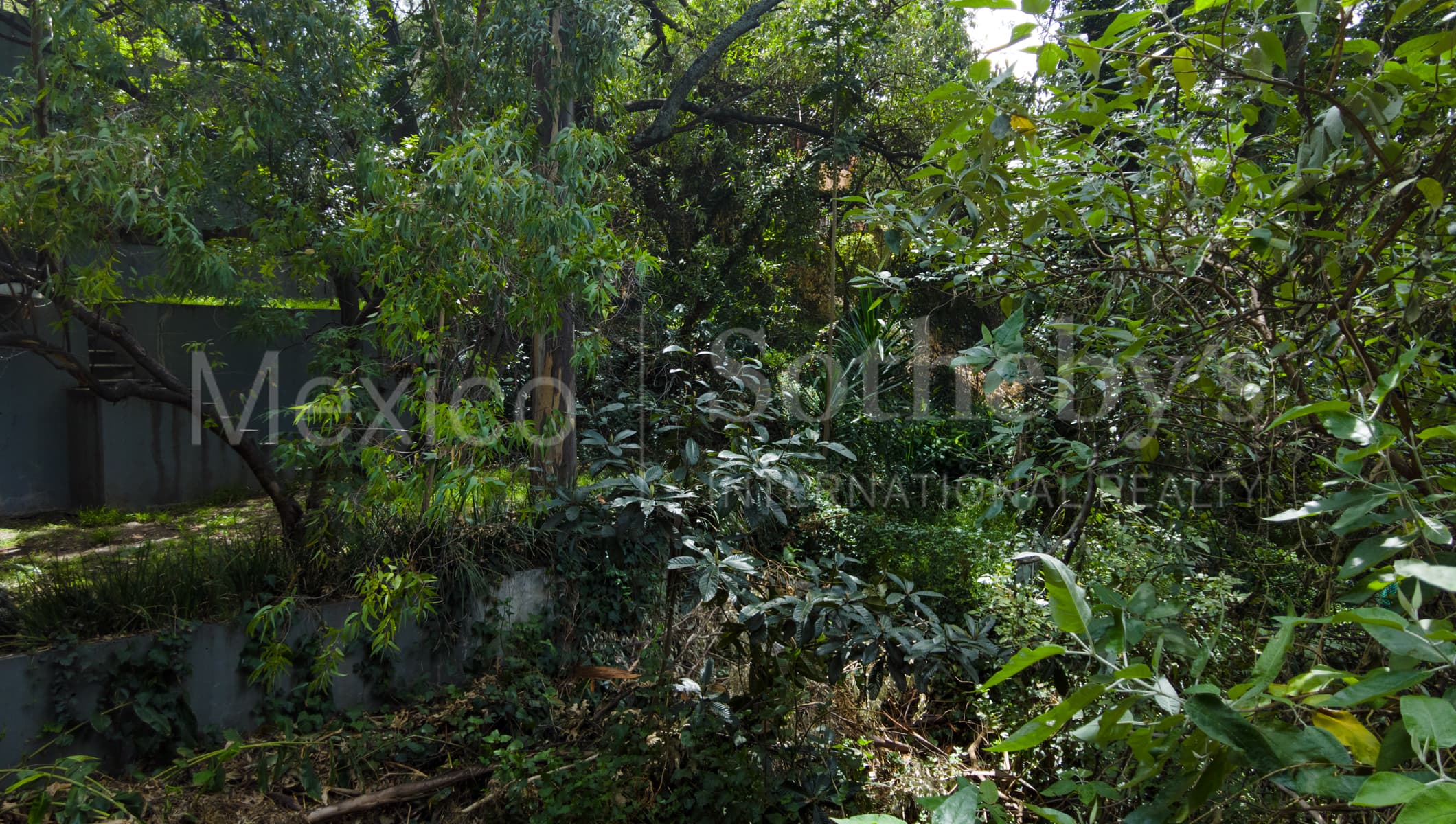 Terreno Parque Via - Sierra Mijes